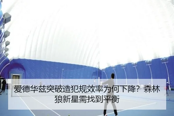 ai-de-hua-zi-tu-po-zao-fan-gui-xiao-lv-wei-he-xia-jiang-sen-lin-lang-xin-xing-xu-zhao-dao-ping-heng-2-164.jpg